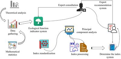 Effects of different fire slash artificial promotion regeneration and natural material regeneration on ecological function